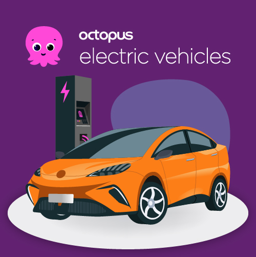 016-octopus-electric-car-scheme-100.webp