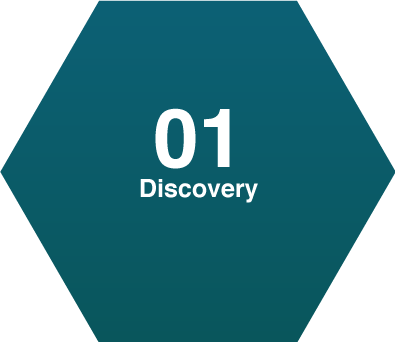 Step 1: Discovery