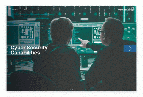 Cyber Security Capabilities